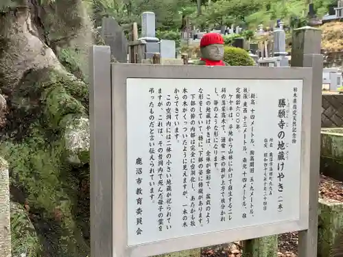 勝願寺の歴史