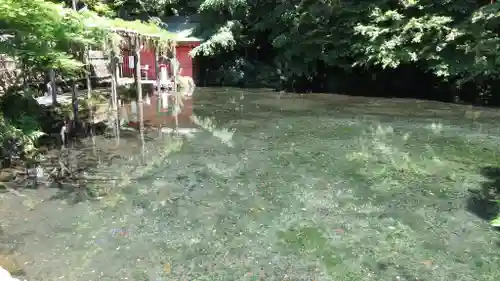 富士山本宮浅間大社の庭園