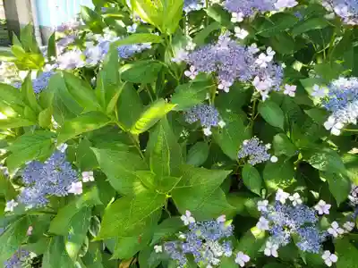 佐野神社の自然
