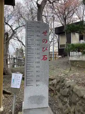 手稲神社の体験その他