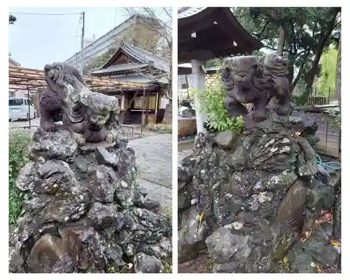 菊田神社の狛犬