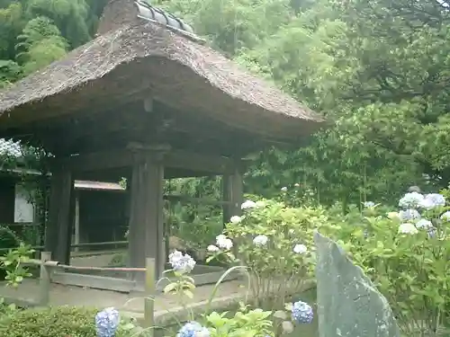 円応寺のその他建物