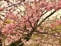 大聖寺(土浦大師不動尊)の自然