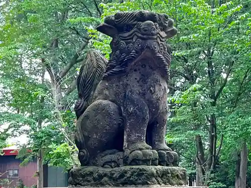 深川神社の狛犬