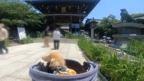 宮地嶽神社(福岡県)