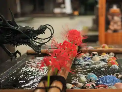今市報徳二宮神社の手水舎