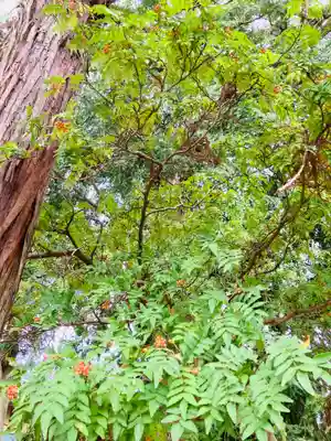 吉沼八幡神社(茨城県)