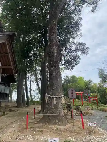 飯福神社(群馬県)