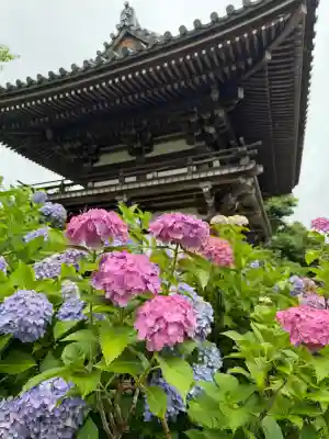 観音寺(京都府)