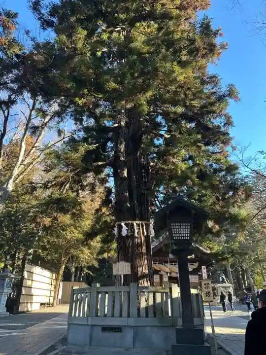 諏訪大社下社秋宮(長野県)