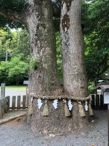 住吉神社の自然