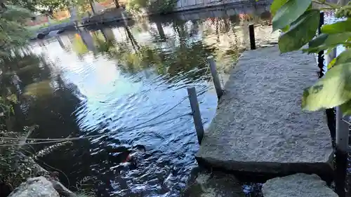 稗田野神社(薭田野神社)(京都府)