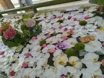 住吉神社の手水舎