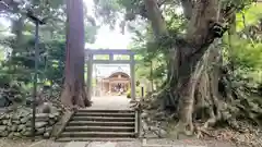 縣神社(千葉県)