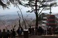 新倉富士浅間神社(山梨県)