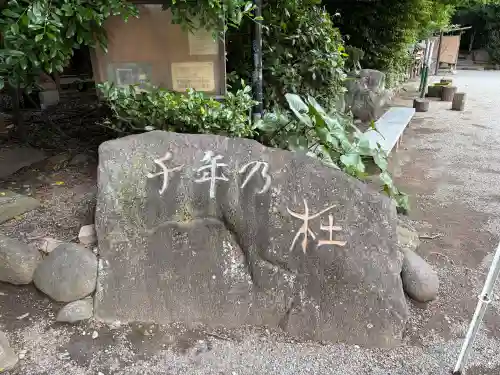 龍蛇神の社(神奈川県)