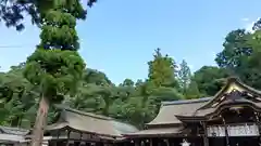 大神神社(奈良県)