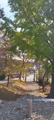 松峰神社、天照御祖神社(岩手県)