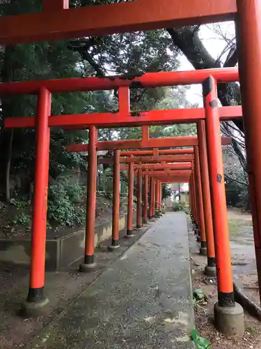 水玉稲荷神社の鳥居