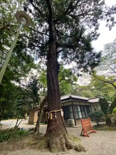 息栖神社の自然