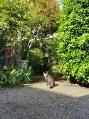 長延寺の動物