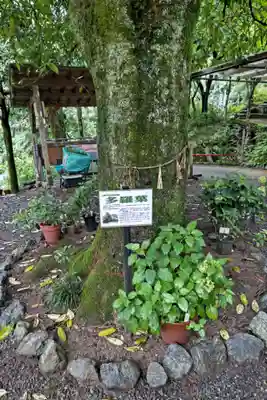 三光寺(岐阜県)