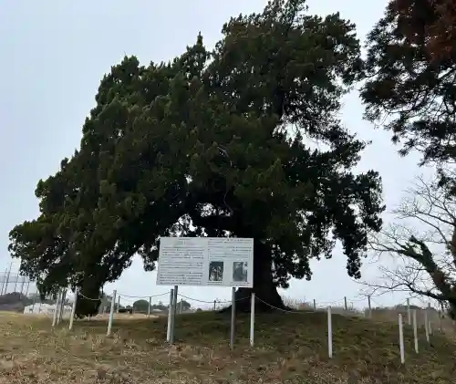 木幡神社の{uncategorized: "未分類", other: "その他", undefined: "問題あり", building: "その他建物", grave: "お墓", sacred_gate: "鳥居", guardian: "狛犬", statue: "像", buddha: "仏像", history: "歴史", nature: "自然", garden: "庭園", animal: "動物", pagoda: "塔", temizu: "手水舎", mountain_gate: "山門・神門", sanctuary: "本殿・本堂", subordinate: "末社・摂社", art: "芸術", scenery: "景色", jizo: "地蔵", ema: "絵馬", goshuin: "御朱印", omikuji: "おみくじ", items: "授与品その他", amulet: "お守り", goshuincho: "御朱印帳", eats: "食事", festival: "お祭り", votive_dance: "神楽", shichigosan: "七五三参", wedding: "結婚式", experience: "体験その他", initially: "初詣", around: "周辺", anti_infection: "感染症対策"}