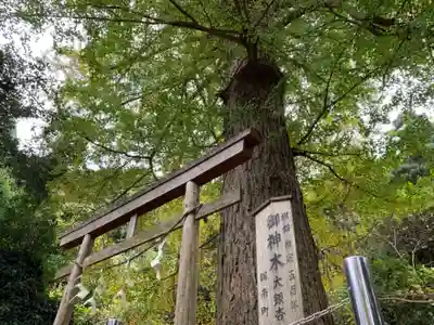 大六神社の鳥居