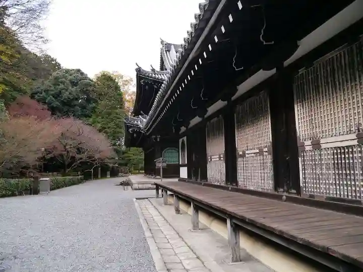 御寺 泉涌寺の本殿・本堂