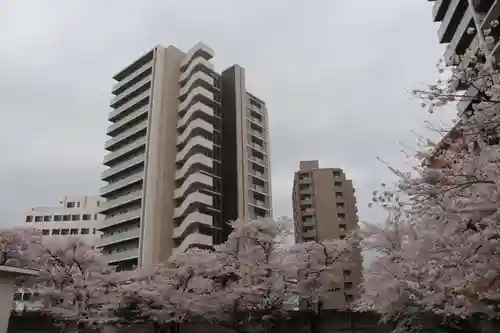 愛宕神社の周辺