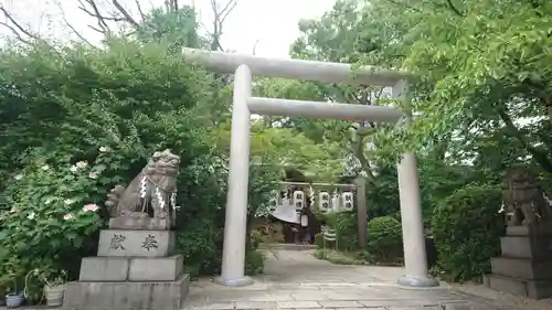 堀越神社の鳥居