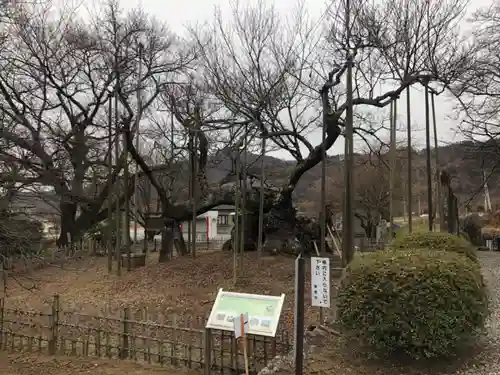 実相寺の自然