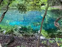 丸池神社(山形県)