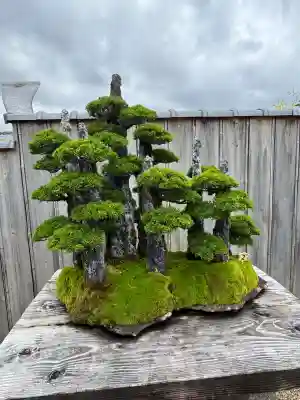 芳春院(京都府)