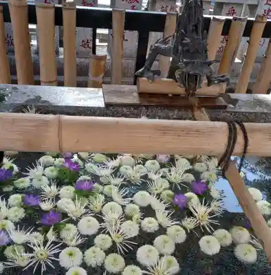 新井薬師（梅照院）(東京都)