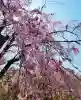 龍安寺(京都府)