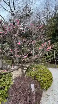 久我神社（賀茂別雷神社摂社）(京都府)