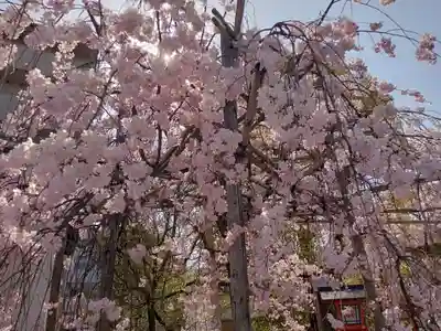 安井金比羅宮(京都府)