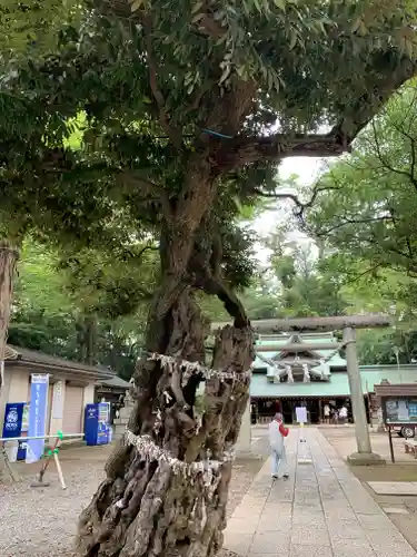 一言主神社の庭園