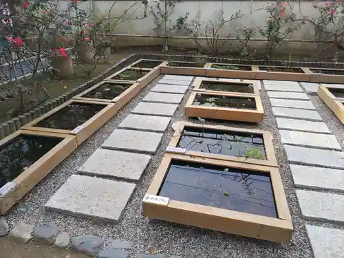 おふさ観音（観音寺）(奈良県)