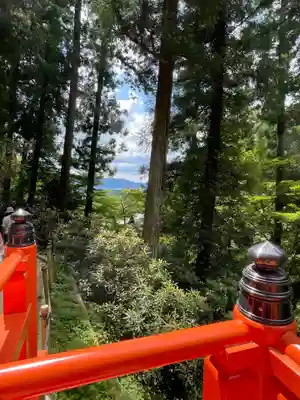 岡寺(龍蓋寺)(奈良県)