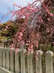 曽根天満宮の庭園