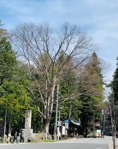 諏訪大社下社秋宮(長野県)