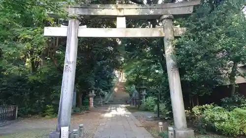 赤坂氷川神社の鳥居