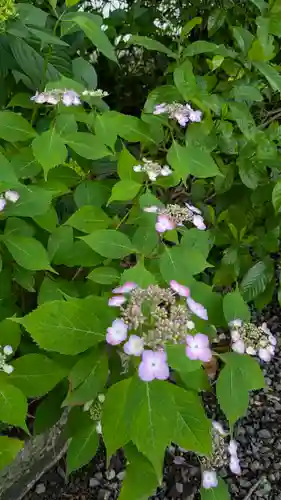 本法寺(京都府)