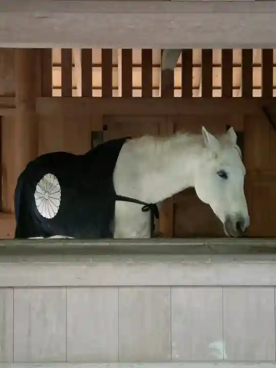 伊勢神宮外宮(豊受大神宮)の{uncategorized: "未分類", other: "その他", undefined: "問題あり", building: "その他建物", grave: "お墓", sacred_gate: "鳥居", guardian: "狛犬", statue: "像", buddha: "仏像", history: "歴史", nature: "自然", garden: "庭園", animal: "動物", pagoda: "塔", temizu: "手水舎", mountain_gate: "山門・神門", sanctuary: "本殿・本堂", subordinate: "末社・摂社", art: "芸術", scenery: "景色", jizo: "地蔵", ema: "絵馬", goshuin: "御朱印", omikuji: "おみくじ", items: "授与品その他", amulet: "お守り", goshuincho: "御朱印帳", eats: "食事", festival: "お祭り", votive_dance: "神楽", shichigosan: "七五三参", wedding: "結婚式", experience: "体験その他", initially: "初詣", around: "周辺", anti_infection: "感染症対策"}