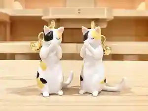 諫早神社(九州総守護 四面宮)の御朱印(2025年08月18日(月) 10時00分49秒投稿)