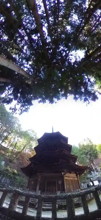 安楽寺(長野県)