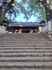 洲崎大神(神奈川県)