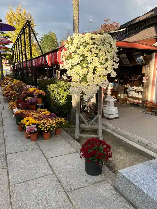 笠間稲荷神社(茨城県)